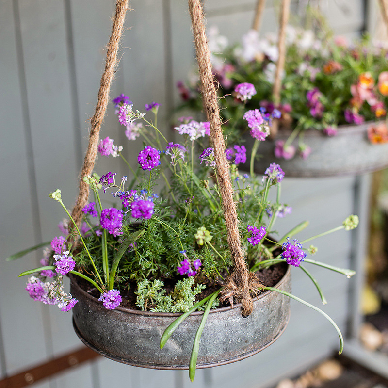 Round wrought iron hanging basket pot wholesale