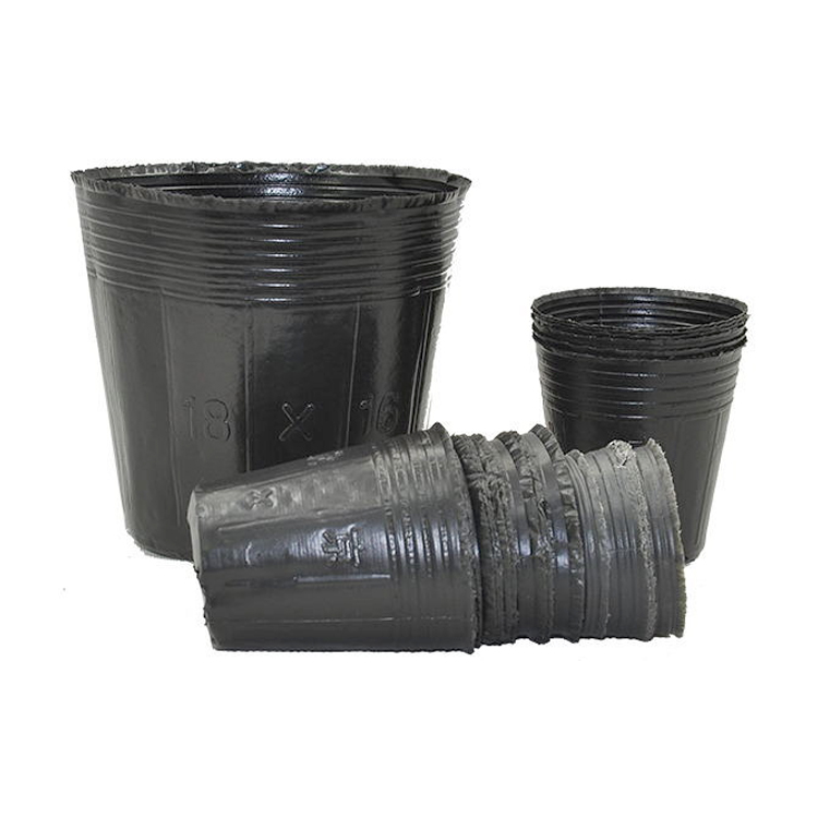 Wholesale greenhouse sowing black plant nursery pots