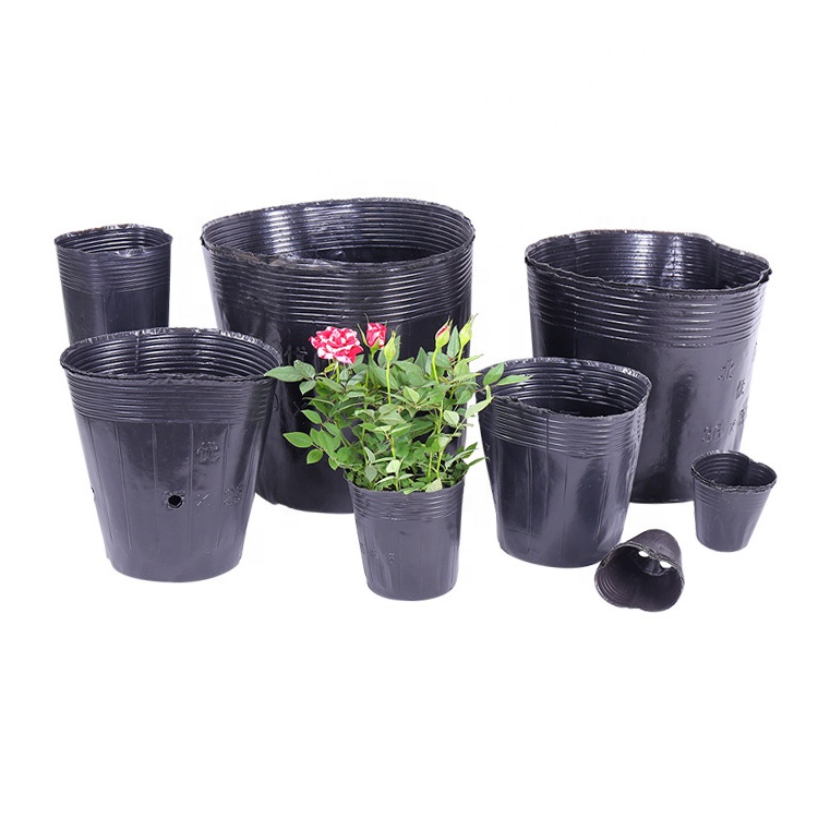 Wholesale greenhouse sowing black plant nursery pots