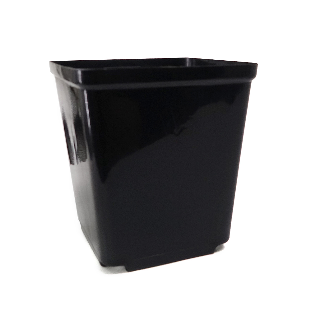 Cheap plastic black square plant flower nursery pot for sale