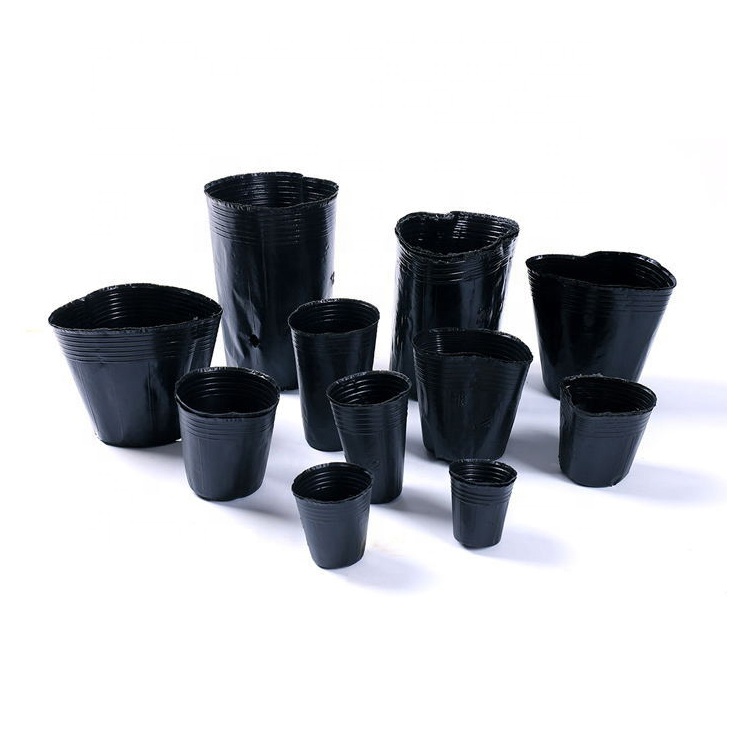 Wholesale greenhouse sowing black plant nursery pots