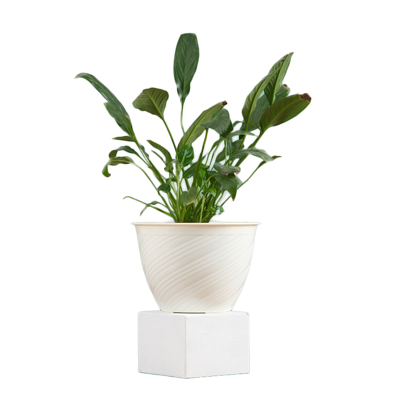 Custom modern decorative plastic plant pots