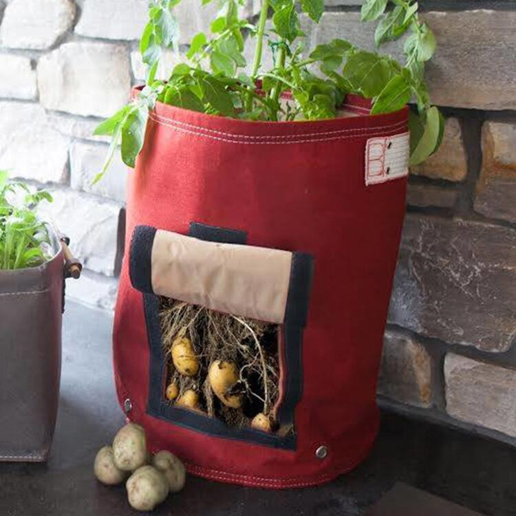 Customized wholesale visitable vegetable grow bag
