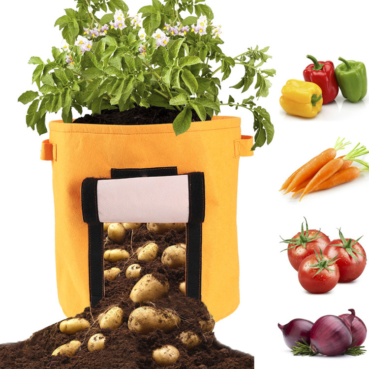 Customized wholesale visitable vegetable grow bag