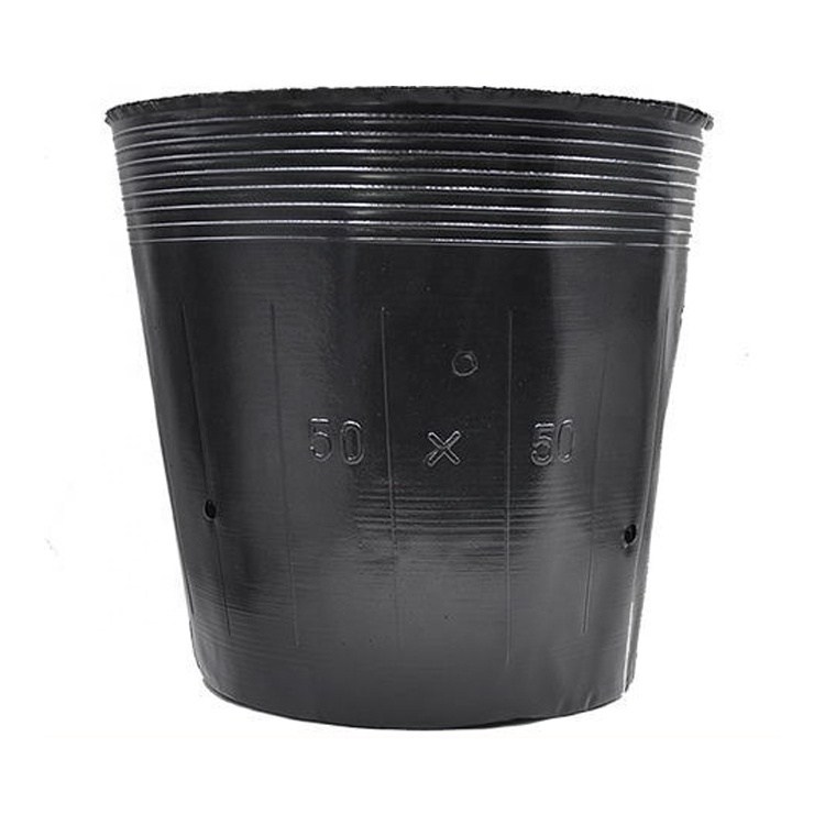Wholesale greenhouse sowing black plant nursery pots