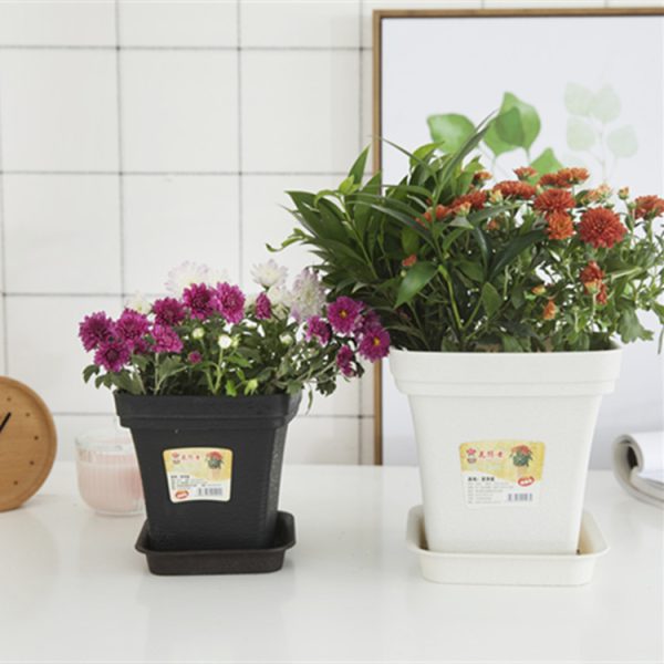 nursery pots wholesale (4)