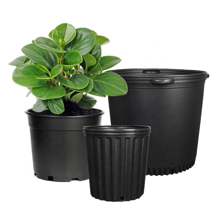 nursery pots wholesale (4)