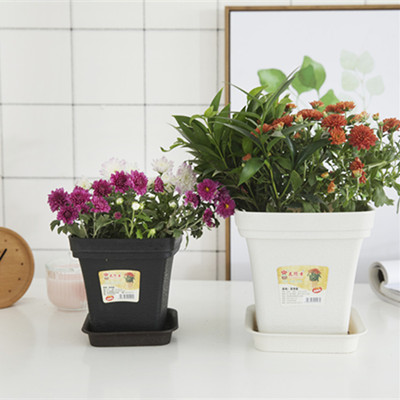 Wholesale nursery pots suppliers, custom nursery pot suppliers 