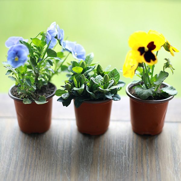 nursery pots wholesale (8)