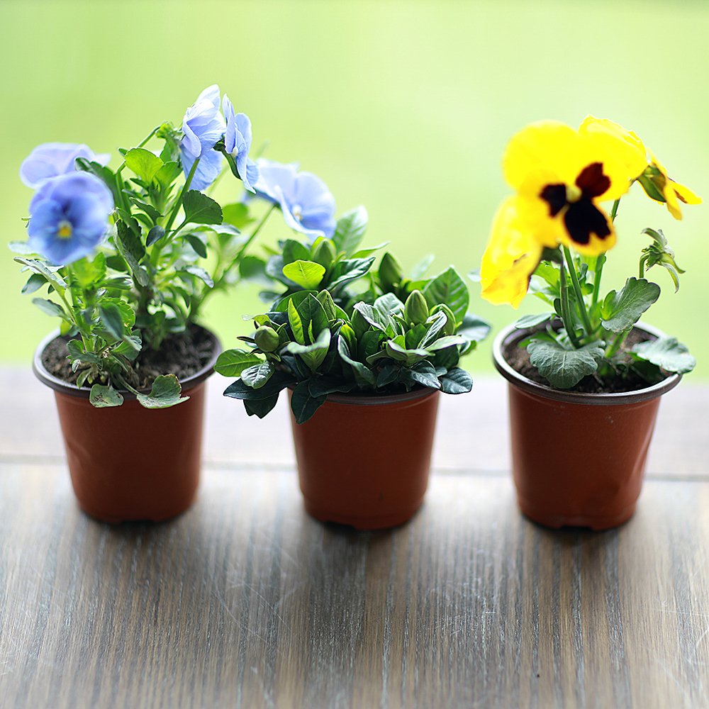 nursery pots wholesale (8)