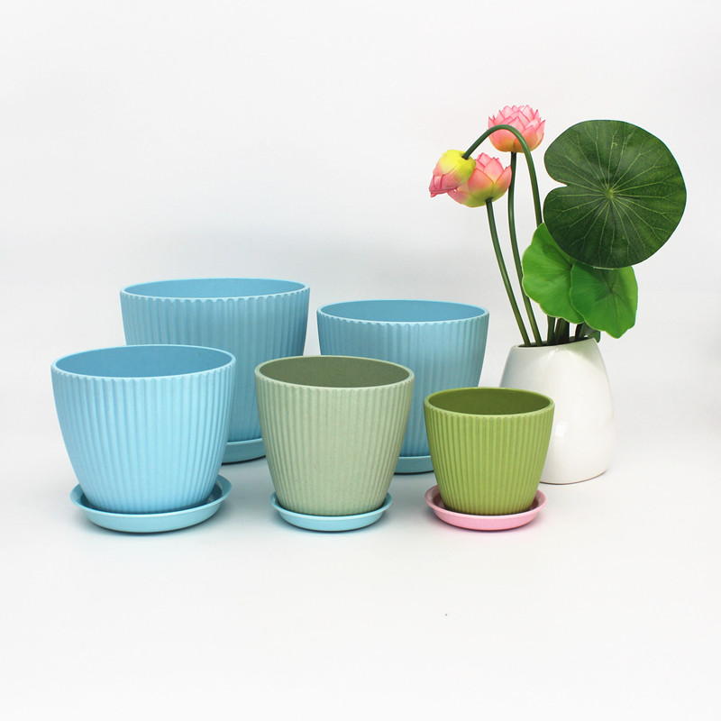 Succulent plastic plant flower pot wholesale custom
