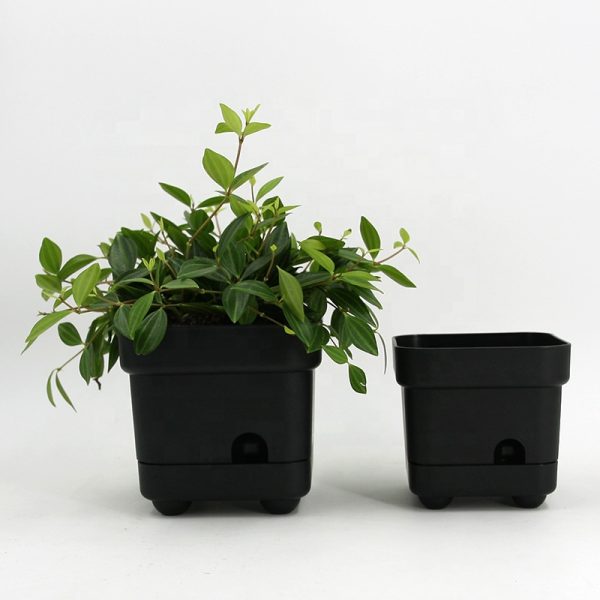 plasticplant pots wholesale (6)