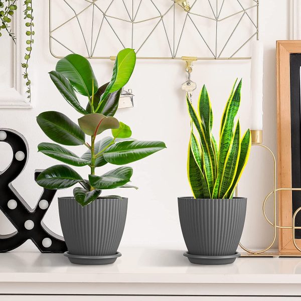 5 Pack 6 Inch Plastic Plant Pots With Drainage (1)