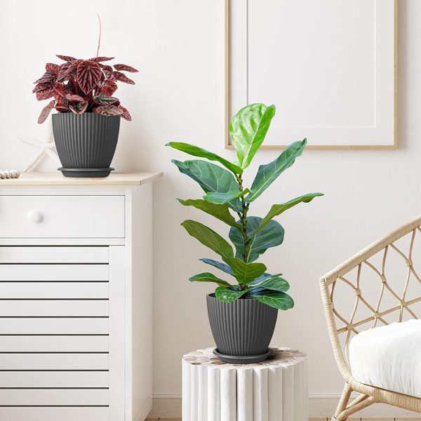 5 Pack 6 Inch Plastic Plant Pots With Drainage (6)