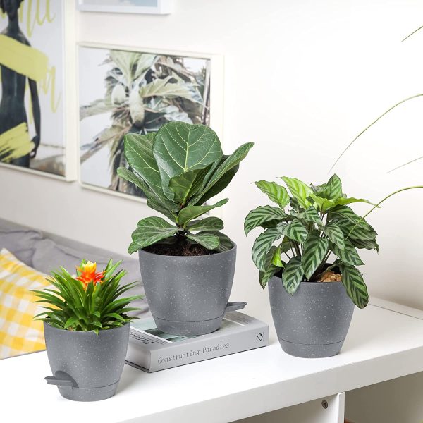 Plastic Plant Pots For Indoor Plants (1)